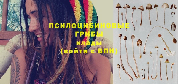спайс Дмитров