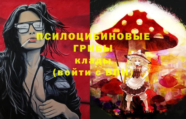 бошки Дмитриев
