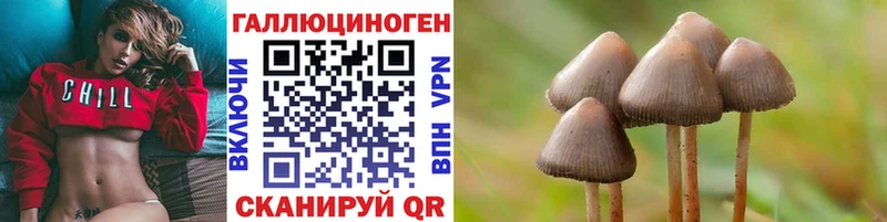как найти закладки kraken зеркало Псилоцибиновые грибы MAGIC MUSHROOMS Каргополь